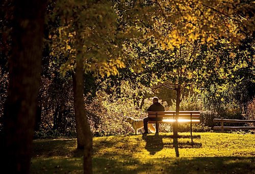 JOHN WOODS / WINNIPEG FREE PRESS
A person and their dog enjoy the warm weather and fall colours at Kildonan Park in Winnipeg Tuesday, October 8, 2024. 

Reporter: s/u