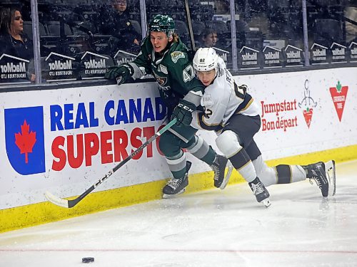 08102024
Dominik Petr #82 of the Brandon Wheat Kings presses Kaden Hammell #47 of the Everett Silvertips into the boards during WHL action at Westoba Place on Tuesday evening.
(Tim Smith/The Brandon Sun)