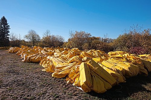 09102024
The underwater curtain that was briefly used this summer in an attempt to contain zebra mussels in Clear Lake sits near boat cove on Wednesday. 
(Tim Smith/The Brandon Sun)