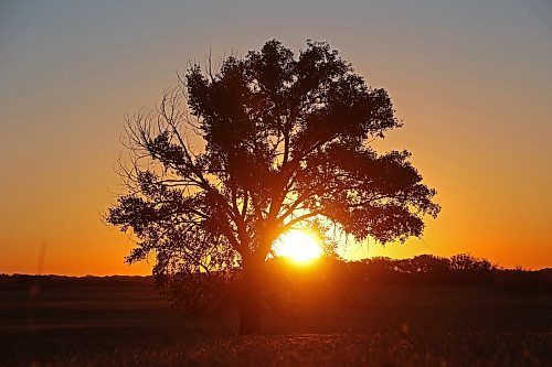 09102024
The sun rises over a field south of Brandon on Wednesday morning. 
(Tim Smith/The Brandon Sun)