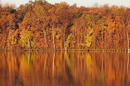 09102024
The early morning sun illuminates fall colours along Lake Clementi on Wednesday. 
(Tim Smith/The Brandon Sun)