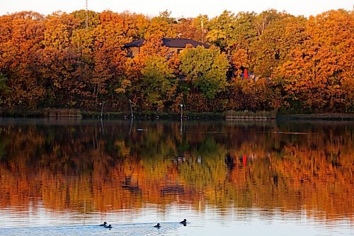 09102024
The early morning sun illuminates fall colours along Lake Clementi on Wednesday. 
(Tim Smith/The Brandon Sun)