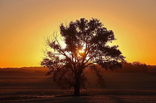 09102024
The sun rises over a field south of Brandon on Wednesday morning. 
(Tim Smith/The Brandon Sun)