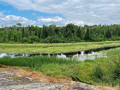 Russell Wangersky/Free Press
The federal government is moving to legislate a larger space for nature. 