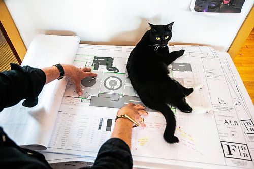 MIKAELA MACKENZIE / FREE PRESS

	
Co-owner Adam Bumbolo explains plans for the Barcade space as office cat Tony DuCat lays on top of them at Fireside Design offices on Wednesday, July 31, 2024. 

For Eva story.