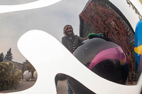 BROOK JONES/FREE PRESS
A reflection of Erica Swendrowski is pictured in a giant fibreglass marble sitting in her driveway in Winnipeg, Man., Thursday, Oct. 10, 2024. The local artist and landscape dsesigner is refurbishing the marbles she created as a public art piece dubbed Marbles at Mayfair which is a City of Winnipeg Public Art Collection.