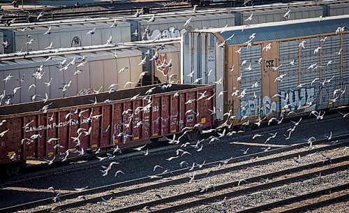 JOHN WOODS / FREE PRESS
Rail-yard in downtown Winnipeg Monday, October 14, 2024. 

Reporter: ?