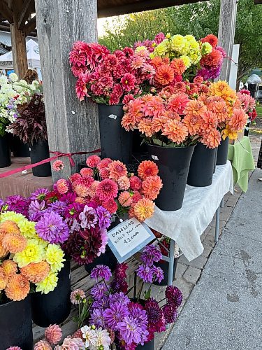 NADYA PANKIW / FREE PRESS
A flower vendor at Blacksburg Farmers Market. 