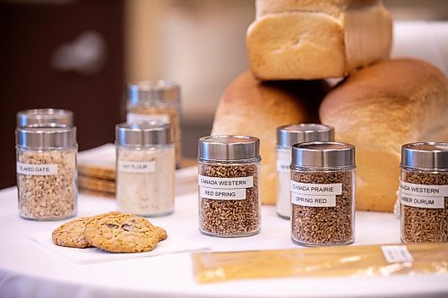 MIKAELA MACKENZIE / FREE PRESS
	
A display with various cereal grains at the Cereals Canada Pasta Lab on Tuesday, Oct. 15, 2024.

For Martin Cash story.
Winnipeg Free Press 2024