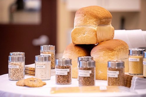 MIKAELA MACKENZIE / FREE PRESS
	
A display with various cereal grains at the Cereals Canada Pasta Lab on Tuesday, Oct. 15, 2024.

For Martin Cash story.
Winnipeg Free Press 2024