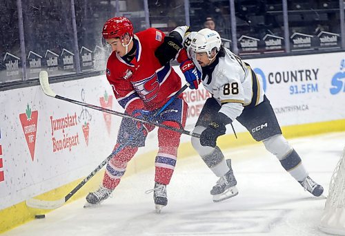 15102024
Matteo Michels #88 of the Brandon Wheat Kings tries to get the puck away from Brayden Crampton #3 of the Spokane Chiefs during WHL action at Westoba Place on Wednesday evening.
(Tim Smith/The Brandon Sun) 