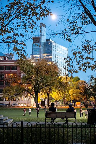 MIKAELA MACKENZIE / FREE PRESS
	
Central Park in the evening on Friday, Oct. 11, 2024.

For Conrad Sweatman story.
Winnipeg Free Press 2024