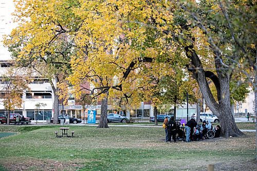 MIKAELA MACKENZIE / FREE PRESS
	
Central Park on Friday, Oct. 11, 2024.

For Conrad Sweatman story.
Winnipeg Free Press 2024