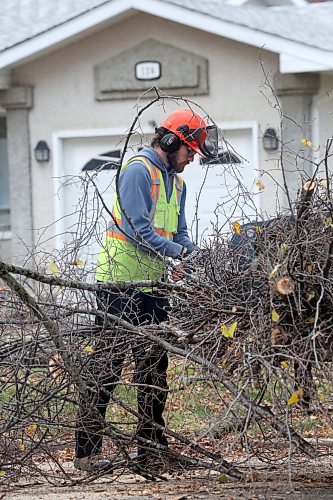 A curving branch frames the torso of an arborist with the City of Brandon who was part of a team from the city that was removing a pair of trees from the 100 block of Clark Drive on Friday afternoon. (Matt Goerzen/The Brandon Sun)