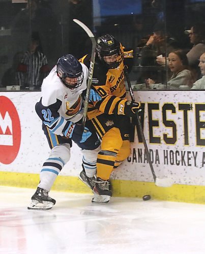 Brandon Wheat Kings forward Cole Lobreau (20) is pinned to the boards by Winnipeg Thrashers forward Dixon Hartwich (22) in Manitoba U18 AAA Hockey League action at J&amp;G Homes Arena on Saturday. (Perry Bergson/The Brandon Sun)
Oct. 21, 2024