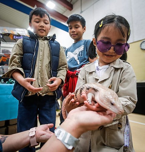 JOHN WOODS / FREE PRESS
Jules Manaloto and her brother Rob, left, and their friend Rock Valeros check out an Australian Blue Tongued Skink with Phynix from Mel&#x2019;s Exotics during the Manitoba Reptile Breeders Expo at the West St. Paul&#x2019;s Recreation Centre Sunday, October 20, 2024. 

Reporter: s/u