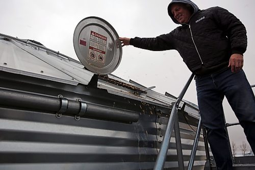 Barley is blowing out of the top of a storage container as Scott Gray holds the lid open on his farm in Erickson. The container is filled to the ceiling after this year's harvest, run by Gray, his son and father in law. The family team makes up three generations currently, with the family farm dating back to 1937. (Connor McDowell/Brandon Sun)