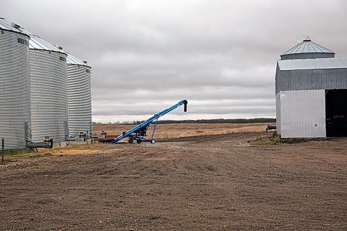 Harvested fields are seen beyond Lee Island Farms. The farm operated by the Lee and Gray families spans 3,000 acres. It covers much of the land surrounding their home. (Connor McDowell/Brandon Sun)