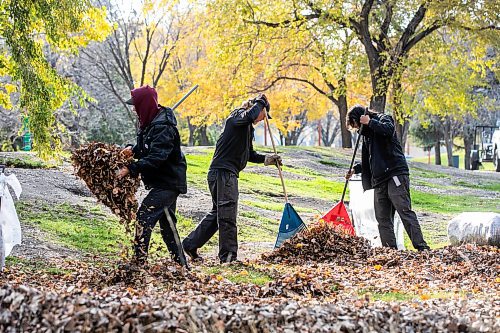 MIKAELA MACKENZIE / FREE PRESS
	
Sam Stephanson (left), Sigmundur Benediktson, and Jacob Bauer with Bell&#x573; Property Services rake leaves at The Forks on Thursday, Oct. 24, 2024. At The Forks they average 50-60 bags of leaves per day, and will continue raking until the snow comes (they started about a week ago).

For &#x460;story.
Winnipeg Free Press 2024