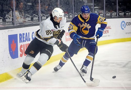 Matteo Michels (88) of the Brandon Wheat Kings and Grayden Siepmann (21) of the Saskatoon Blades jostle for the puck during first period Western Hockey League action at Westoba Place on Friday evening. (Photos by Tim Smith/The Brandon Sun)