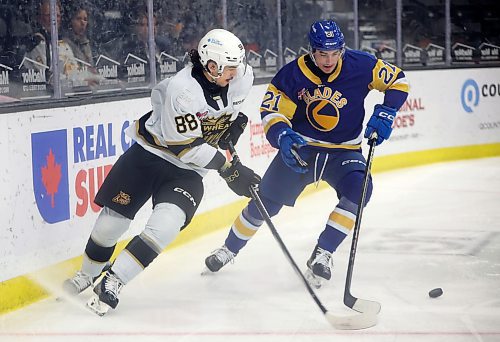 25102024
Matteo Michels #88 of the Brandon Wheat Kings and Grayden Siepmann #21 of the Saskatoon Blades jostle for the puck during first period WHL action at Westoba Place on Friday evening.
(Tim Smith/The Brandon Sun)