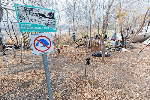 MIKE DEAL / FREE PRESS
The remains of part of an encampment in Fort Douglas Park near Waterfront Drive and Galt Avenue after a recent fire.
241029 - Tuesday, October 29, 2024.