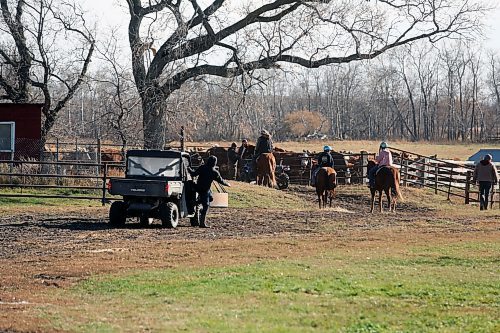 Satchul Arndt, 14, jumps out of a side-by-side after the herd of cattle has been put in a pen at the back of Gerow Farms. Satchul and his brother Quintinn are in their first year of the 4H beef program, and tagged along to learn about herding. (Connor McDowell/Brandon Sun)