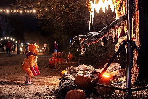 MIKAELA MACKENZIE / FREE PRESS
	
Alaia Lane, four, checks out at a creepy animatronic character at Boo at the Zoo on Wednesday, Oct. 30, 2024.

Standup.
Winnipeg Free Press 2024