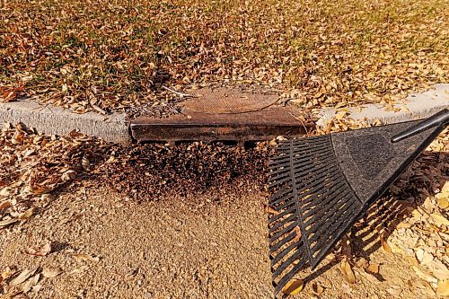 MIKE DEAL / FREE PRESS
Suzanne Pothe who lives a few doors down from the drain which is at Greyfriars Road and Lafayette Bay in Fort Richmond. Past road resurfacing crews on Greyfriars practically sealed the sewer drain at the corner and she has been complaining about it for nine years and still nothing has been done.
Reporter: ?
241031 - Thursday, October 31, 2024.