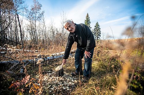 MIKAELA MACKENZIE / FREE PRESS
	
Ed Skomro, who is concerned about more than a hundred trees being lost at Kilcona Park due to beavers, shows freshly felled trees on Thursday, Oct. 31, 2024.

For Joyanne story.
Winnipeg Free Press 2024