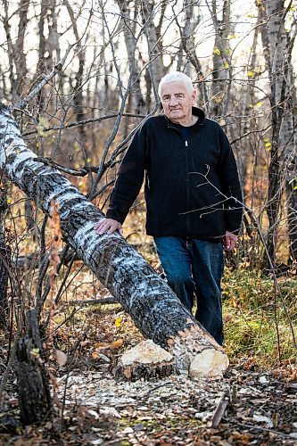 MIKAELA MACKENZIE / FREE PRESS
	
Ed Skomro, who is concerned about more than a hundred trees being lost at Kilcona Park due to beavers, shows freshly felled trees on Thursday, Oct. 31, 2024.

For Joyanne story.
Winnipeg Free Press 2024