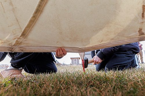 MIKE DEAL / FREE PRESS
Maples Collegiate students hammer in pegs to hold down the canvas of the tipi.
Indigenous youth from Maples Collegiate learn to put up and take down a tipi Thursday morning at Ozhaawashkwaa Animikii-Bineshi Aki Onji Kinimaagae&#x2019; Inun, Seven Oaks School Division&#x2019;s land-based learning centre.
There&#x2019;s ever-growing demand for land-based learning and recognition of their important place across the province's public school system. Teachers have increasingly sought elders&#x2019; expertise and planned field trips to sites such as Ozhaawashkwaa Animikii-Bineshi Aki Onji Kinimaagae&#x2019; Inun (Blue Thunderbird Land-based Teachings Learning Centre), also known as the Aki Centre. The Aki Centre spans 50 acres, much of which is undergoing restoration so the over-farmed grounds return to their original state as a tallgrass prairie and wetland, in West St. Paul. The Seven Oaks School Division has facilitated rabbit snaring, moose and deer hyde tanning, and the harvesting of sage, sweetgrass and tobacco, since opening it in 2019. More than 5,000 visitors stopped by the Grassmere Road site that houses vegetable and medicine gardens, a sweat lodge and a greenhouse in 2023-24. In doing so, they learned about ecosystems, treaties, conservation and other related topics.
Reporter: Maggie Macintosh
241031 - Thursday, October 31, 2024.