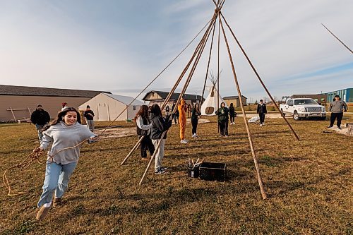 MIKE DEAL / FREE PRESS
Maples Collegiate student, Miley Swan, 15, runs around the tipi to unwind the rope that holds the poles together.
Indigenous youth from Maples Collegiate learn to put up and take down a tipi Thursday morning at Ozhaawashkwaa Animikii-Bineshi Aki Onji Kinimaagae&#x2019; Inun, Seven Oaks School Division&#x2019;s land-based learning centre.
There&#x2019;s ever-growing demand for land-based learning and recognition of their important place across the province's public school system. Teachers have increasingly sought elders&#x2019; expertise and planned field trips to sites such as Ozhaawashkwaa Animikii-Bineshi Aki Onji Kinimaagae&#x2019; Inun (Blue Thunderbird Land-based Teachings Learning Centre), also known as the Aki Centre. The Aki Centre spans 50 acres, much of which is undergoing restoration so the over-farmed grounds return to their original state as a tallgrass prairie and wetland, in West St. Paul. The Seven Oaks School Division has facilitated rabbit snaring, moose and deer hyde tanning, and the harvesting of sage, sweetgrass and tobacco, since opening it in 2019. More than 5,000 visitors stopped by the Grassmere Road site that houses vegetable and medicine gardens, a sweat lodge and a greenhouse in 2023-24. In doing so, they learned about ecosystems, treaties, conservation and other related topics.
Reporter: Maggie Macintosh
241031 - Thursday, October 31, 2024.