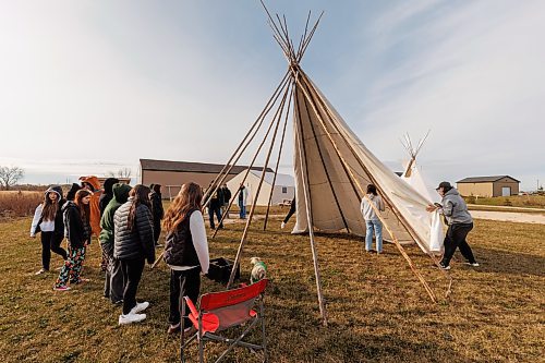 MIKE DEAL / FREE PRESS
Indigenous youth from Maples Collegiate learn to put up and take down a tipi Thursday morning at Ozhaawashkwaa Animikii-Bineshi Aki Onji Kinimaagae&#x2019; Inun, Seven Oaks School Division&#x2019;s land-based learning centre.
There&#x2019;s ever-growing demand for land-based learning and recognition of their important place across the province's public school system. Teachers have increasingly sought elders&#x2019; expertise and planned field trips to sites such as Ozhaawashkwaa Animikii-Bineshi Aki Onji Kinimaagae&#x2019; Inun (Blue Thunderbird Land-based Teachings Learning Centre), also known as the Aki Centre. The Aki Centre spans 50 acres, much of which is undergoing restoration so the over-farmed grounds return to their original state as a tallgrass prairie and wetland, in West St. Paul. The Seven Oaks School Division has facilitated rabbit snaring, moose and deer hyde tanning, and the harvesting of sage, sweetgrass and tobacco, since opening it in 2019. More than 5,000 visitors stopped by the Grassmere Road site that houses vegetable and medicine gardens, a sweat lodge and a greenhouse in 2023-24. In doing so, they learned about ecosystems, treaties, conservation and other related topics.
Reporter: Maggie Macintosh
241031 - Thursday, October 31, 2024.