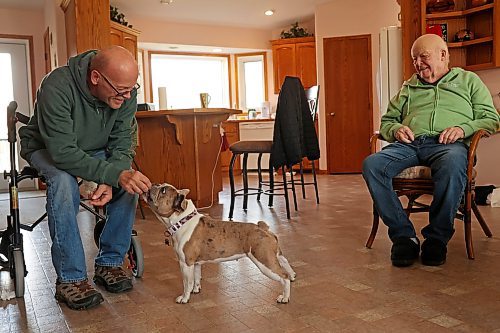 31102024
Lawrence Medd and his father Bill Medd sit with Lawrence&#x2019;s french bulldog Lola at the home they are currently staying at in Killarney. Lawrence is visiting his dad in Killarney from Alberta. Lola woke them in the night Sunday as Bill&#x2019;s duplex went up in flames. The duplex on Finlay Street was completely destroyed in the fire but the Medd&#x2019;s and the duplex&#x2019;s other resident all escaped the blaze. 
(Tim Smith/The Brandon Sun)