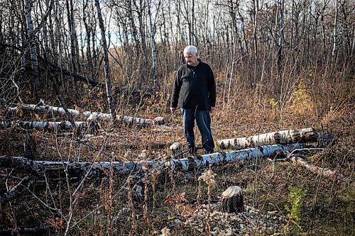 MIKAELA MACKENZIE / FREE PRESS
	
Ed Skomro, who is concerned about more than a hundred trees being lost at Kilcona Park due to beavers, shows freshly felled trees on Thursday, Oct. 31, 2024.

For Joyanne story.
Winnipeg Free Press 2024