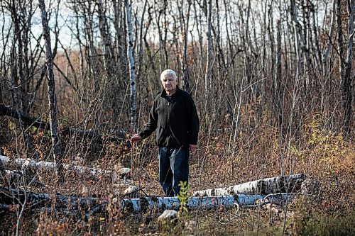 MIKAELA MACKENZIE / FREE PRESS
	
Ed Skomro, who is concerned about more than a hundred trees being lost at Kilcona Park due to beavers, shows freshly felled trees on Thursday, Oct. 31, 2024.

For Joyanne story.
Winnipeg Free Press 2024