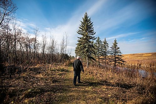 MIKAELA MACKENZIE / FREE PRESS
	
Ed Skomro, who is concerned about more than a hundred trees being lost at Kilcona Park due to beavers, on Thursday, Oct. 31, 2024.

For Joyanne story.
Winnipeg Free Press 2024