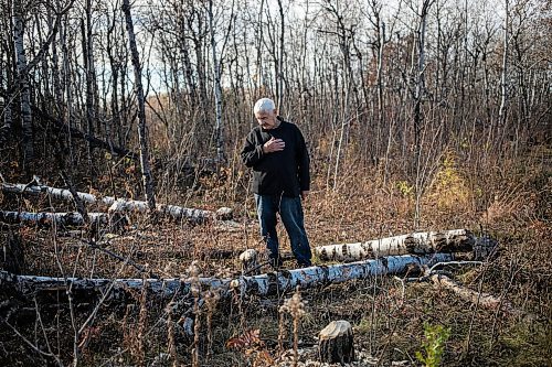 MIKAELA MACKENZIE / FREE PRESS
	
Ed Skomro, who is concerned about more than a hundred trees being lost at Kilcona Park due to beavers, shows freshly felled trees on Thursday, Oct. 31, 2024.

For Joyanne story.
Winnipeg Free Press 2024