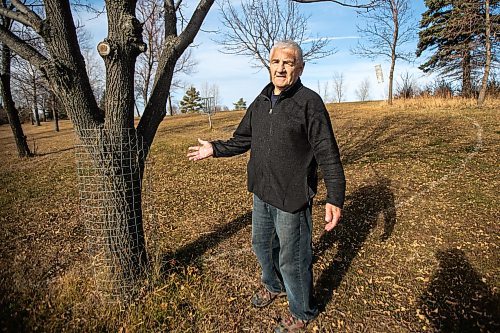 MIKAELA MACKENZIE / FREE PRESS
	
Ed Skomro, who is concerned about more than a hundred trees being lost at Kilcona Park due to beavers, shows protective mesh fencing unnecessarily installed on trees far away from the water on Thursday, Oct. 31, 2024.

For Joyanne story.
Winnipeg Free Press 2024