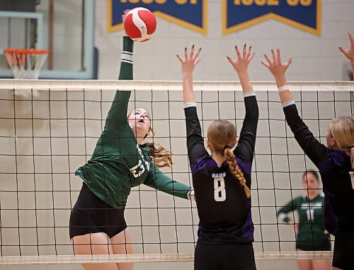 01112024
Katey Ward #13 of the Neelin Spartans leaps to spike the ball during the Spartans varsity match against the Stonewall Rams in the 30th Annual Spartan Dig volleyball tournament at the Brandon University Healthy Living Centre on Friday. Ninety-six high schools are taking part in 276 matches over two days. 
(Tim Smith/The Brandon Sun)