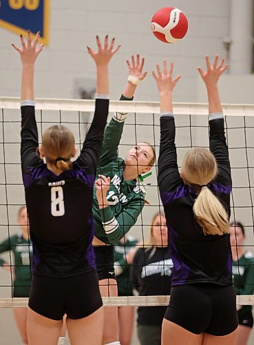 01112024
Elli Pomehichuk #12 of the Neelin Spartans leaps to put the ball over the net during the Spartans varsity match against the Stonewall Rams in the 30th Annual Spartan Dig volleyball tournament at the Brandon University Healthy Living Centre on Friday. Ninety-six high schools are taking part in 276 matches over two days. 
(Tim Smith/The Brandon Sun)