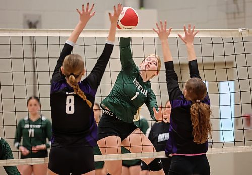 01112024
Kruz Wilson #1 of the Neelin Spartans leaps to put the ball over the net during the Spartans varsity match against the Stonewall Rams in the 30th Annual Spartan Dig volleyball tournament at the Brandon University Healthy Living Centre on Friday. Ninety-six high schools are taking part in 276 matches over two days. 
(Tim Smith/The Brandon Sun)