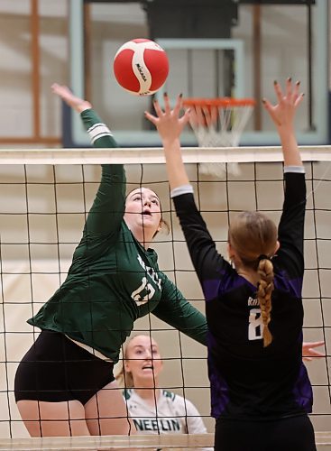 01112024
Katey Ward #13 of the Neelin Spartans leaps to spike the ball during the Spartans varsity match against the Stonewall Rams in the 30th Annual Spartan Dig volleyball tournament at the Brandon University Healthy Living Centre on Friday. Ninety-six high schools are taking part in 276 matches over two days. 
(Tim Smith/The Brandon Sun)