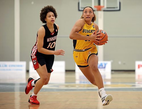 01112024
Amaya McLeod #21 of the Brandon Bobcats drives the ball to the hoop during the Bobcats season home opener against the University of Winnipeg Wesmen at the Brandon University Healthy Living Centre on Friday evening. 
(Tim Smith/The Brandon Sun)