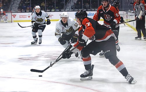 Medicine Hat Tigers defenceman Bryce Pickford (27) carries the puck into the Brandon Wheat Kings zone as defenceman Rhett Ravndahl (55) skates back during Western Hockey League action at Westoba Place on Saturday. (Perry Bergson/The Brandon Sun)
Nov. 2, 2024