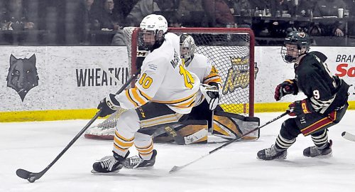 Josh McGregor's game improved dramatically as he played with the under-15 and U18 AAA Brandon Wheat Kings programs. He is shown with last season's U18 team, which has graduated six players to the Western Hockey League this season. (Brandon Sun file photo). 