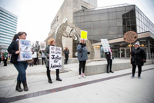 MIKAELA MACKENZIE / FREE PRESS
	
An animal abuse protest in advance of Irene Lima&#x573; court appearance takes place outside of the law courts in Winnipeg on Monday, Nov. 4, 2024.


Winnipeg Free Press 2024