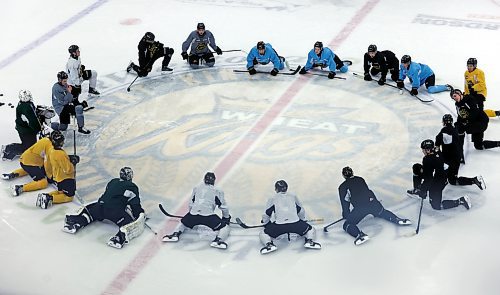 Brandon Wheat Kings players stretch after practice on Wednesday. The Wheaties next play at home on Saturday against the Prince Albert Raiders. (Micah Ross for the Brandon Sun)