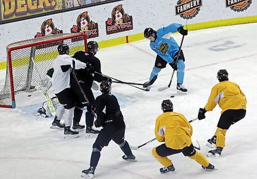 Brady Turko, in blue, of the Brandon Wheat Kings plays the puck during a drill at practice at Westoba Place on Wednesday afternoon. The Wheat Kings return to action against the host Regina Pats on Friday. (Micah Ross for the Brandon Sun)